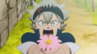 Asta and Yuno
